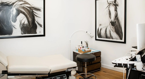 From Burnout and Bureaucracy, a Rock Star Doctor Rises